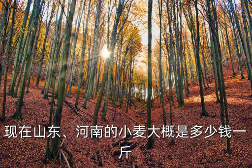 山東小麥花生多少錢一斤,山東菏澤小麥多少錢一斤