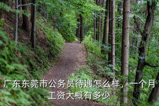 廣東東莞市公務員待遇怎么樣，一個月工資大概有多少