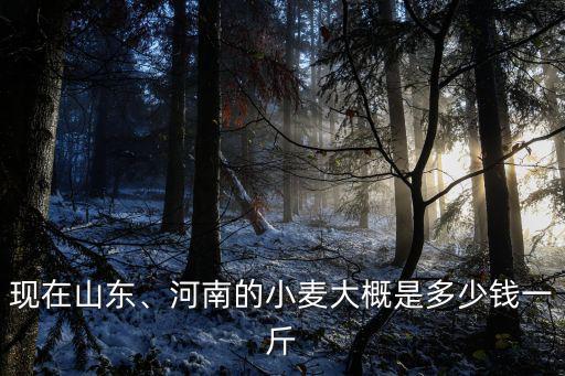 現(xiàn)在山東、河南的小麥大概是多少錢一斤