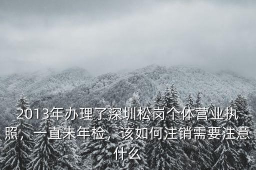 2013年辦理了深圳松崗個體營業執照，一直未年檢，該如何注銷需要注意什么