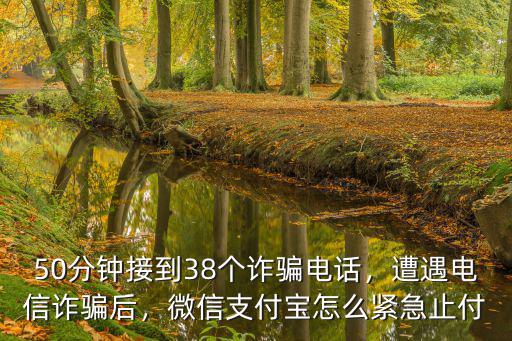 50分鐘接到38個(gè)詐騙電話，遭遇電信詐騙后，微信支付寶怎么緊急止付
