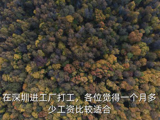 深圳工廠工資最高多少錢一個月了,在深圳進工廠打工
