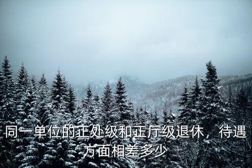 東營處級干部退休工資多少,副處級干部養老金能拿多少