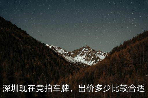 深圳現(xiàn)在競拍車牌，出價(jià)多少比較合適