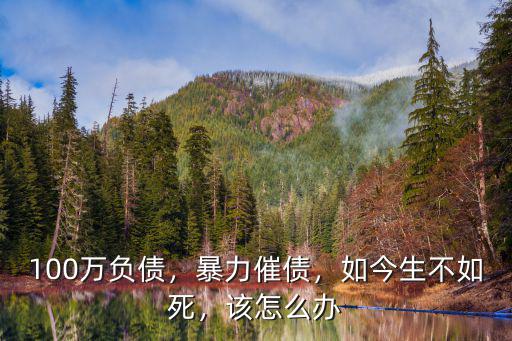 在東莞負債100萬怎么辦,負債100萬