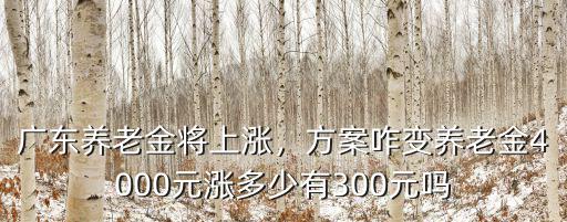 廣東養老金將上漲，方案咋變養老金4000元漲多少有300元嗎