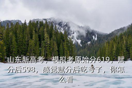 山東原始分660分賦分是多少,模擬考原始分619