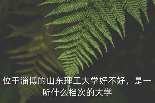 山東理工大學級差是多少,山東理工大學怎么樣