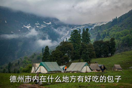 德州包子好吃多少錢,開一家包子店需要投資多少錢