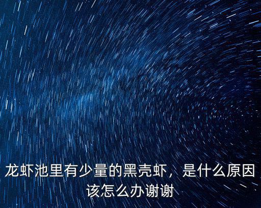 深圳哪里可以抓黑殼蝦,龍蝦池里有少量的黑殼蝦