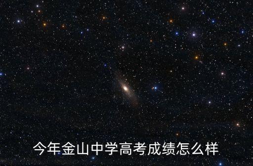 今年金山中學(xué)高考成績怎么樣
