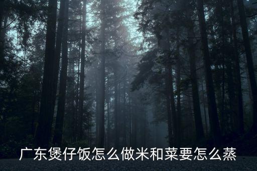 廣東菜怎么煮的,廣東煲仔飯怎么做