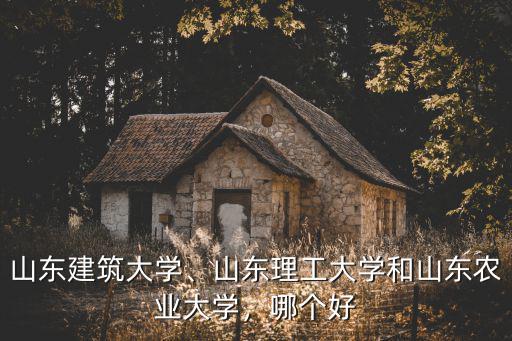 山東農(nóng)大去年在山東招收了多少學(xué)生,山東理工大學(xué)和山東農(nóng)業(yè)大學(xué)