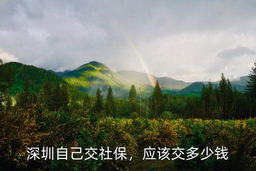 深圳的社保個人部分要交多少錢呢,深圳自己交社保