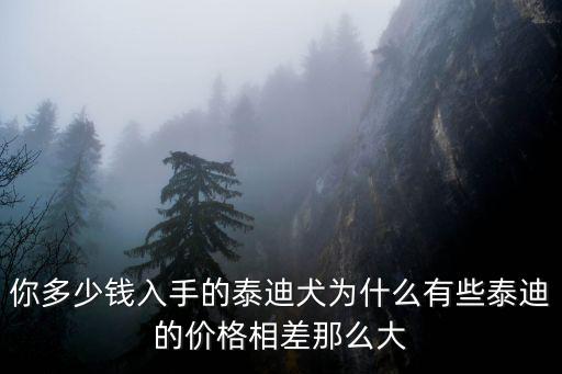 你多少錢入手的泰迪犬為什么有些泰迪的價格相差那么大