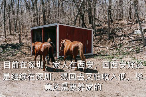 目前在深圳，家人在西安，回西安好還是繼續在深圳，想回去又怕收入低，畢竟還是要養家的