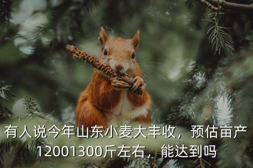 有人說今年山東小麥大豐收，預估畝產12001300斤左右，能達到嗎
