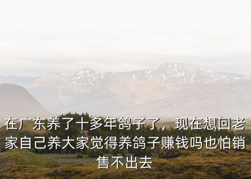 在廣東養(yǎng)了十多年鴿子了，現(xiàn)在想回老家自己養(yǎng)大家覺得養(yǎng)鴿子賺錢嗎也怕銷售不出去