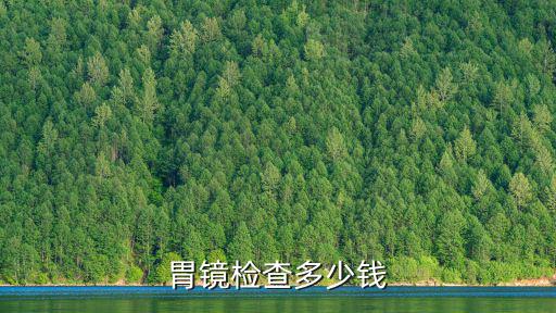 淄博胃鏡價格多少,做無痛胃鏡一般多少錢