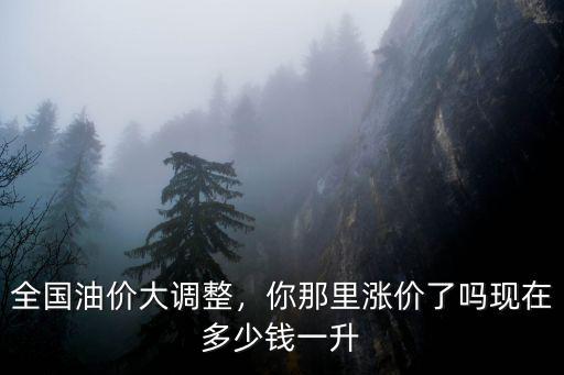 嘉興現(xiàn)在油價多少錢一升,全國油價大調(diào)整