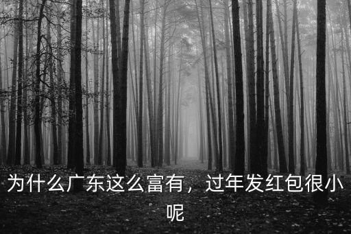 廣東井空怎么這么有錢,為什么廣東這么富有