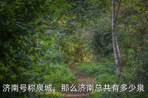 濟(jì)南珍珠泉里有多少泉,濟(jì)南號(hào)稱泉城