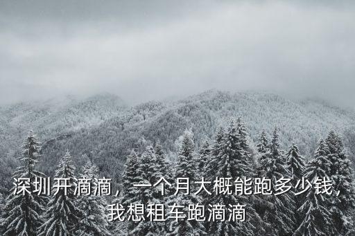 深圳開滴滴，一個月大概能跑多少錢，我想租車跑滴滴