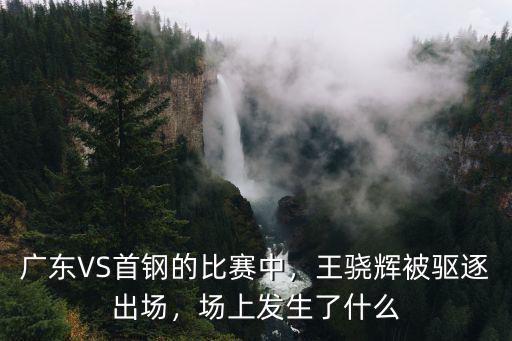 廣東大戰(zhàn)首鋼的比分是多少,廣東VS首鋼的比賽中