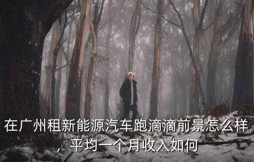 廣州滴滴雙班怎么解決,滴滴還能跑嗎
