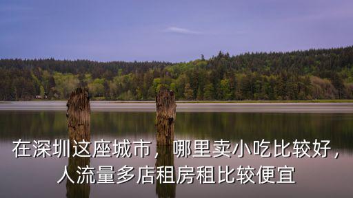 在深圳這座城市，哪里賣小吃比較好，人流量多店租房租比較便宜