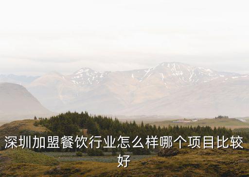 深圳加盟餐飲行業(yè)怎么樣哪個(gè)項(xiàng)目比較好