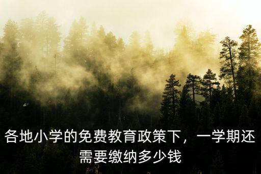 廣東小學多少錢一學期,一學期還需要繳納多少錢
