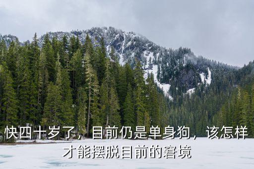 快四十歲了，目前仍是單身狗，該怎樣才能擺脫目前的窘境
