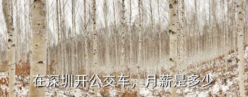 深圳小杰哥一個月工資多少,跑滴滴一個月能賺多少