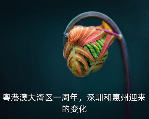 粵港澳大灣區一周年，深圳和惠州迎來的變化
