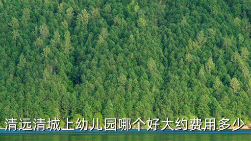 清遠公立小學學費多少,你家孩子一學期的學費是多少