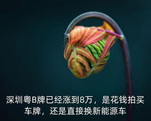深圳車牌更換多少費(fèi)用,深圳車牌過戶值多少錢