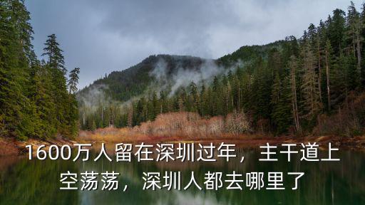 1600萬人留在深圳過年，主干道上空蕩蕩，深圳人都去哪里了