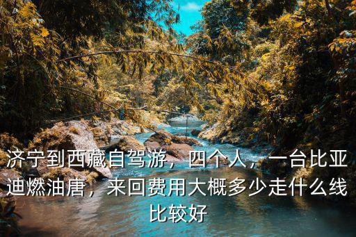 濟(jì)寧到西藏自駕游，四個(gè)人，一臺(tái)比亞迪燃油唐，來回費(fèi)用大概多少走什么線比較好