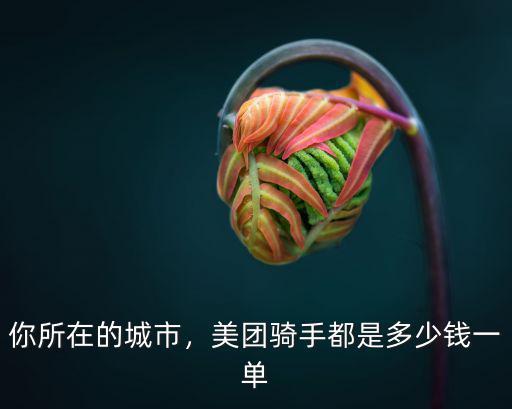 你所在的城市，美團騎手都是多少錢一單