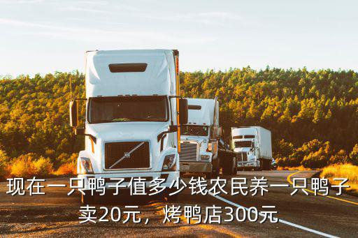 寧波老鴨多少一只,農(nóng)民養(yǎng)一只鴨子賣20元