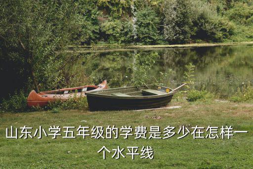 山東小學繳費多少,各地小學的免費教育政策下