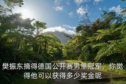 樊振東摘得德國公開賽男單冠軍，你覺得他可以獲得多少獎金呢