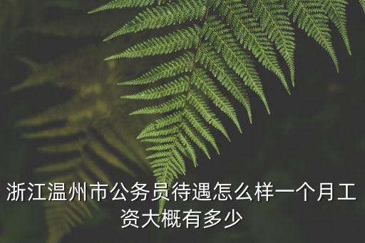浙江溫州市公務(wù)員待遇怎么樣一個(gè)月工資大概有多少