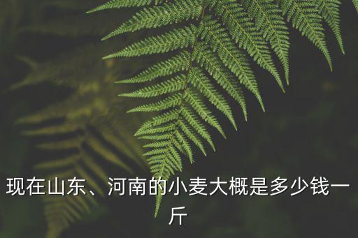 山東泰安小麥多少錢(qián)一斤,小麥價(jià)格4元一斤