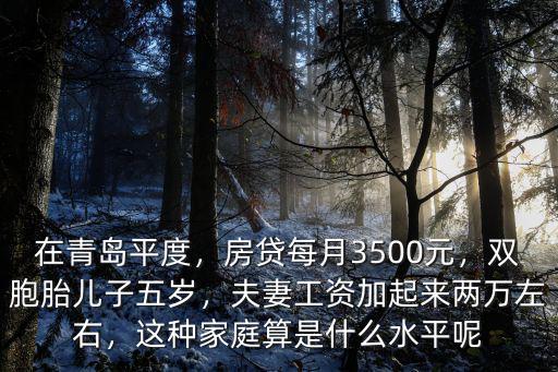 在青島平度，房貸每月3500元，雙胞胎兒子五歲，夫妻工資加起來兩萬左右，這種家庭算是什么水平呢
