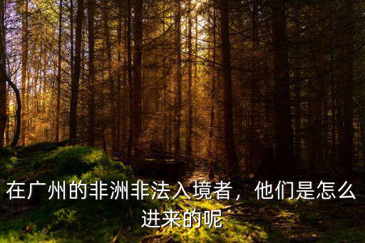在廣州的非洲非法入境者，他們是怎么進來的呢