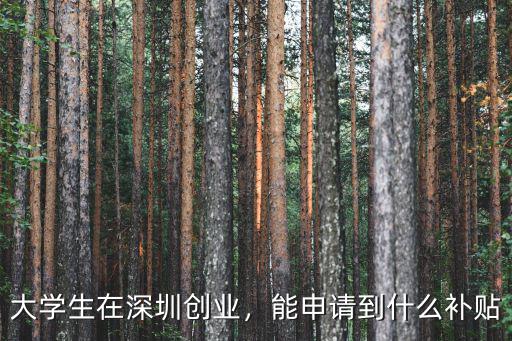 大學(xué)生在深圳創(chuàng)業(yè)，能申請(qǐng)到什么補(bǔ)貼