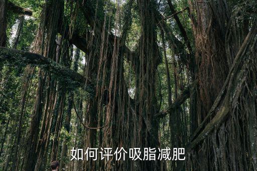 如何評價吸脂減肥