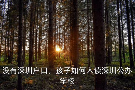 沒有深圳戶口，孩子如何入讀深圳公辦學校
